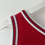 Lade das Bild in den Galerie-Viewer, Chicago Bulls Michael Jordan Champion reversible jersey - Large
