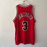 Load image into Gallery viewer, Chicago Bulls Tyson Chandler Nike jersey - XL (Fits XXL)
