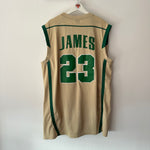 Load image into Gallery viewer, St Vincent - St Mary’s high school Lebron James Nike jersey - XL
