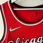 Load image into Gallery viewer, Chicago Bulls Dennis Rodman Nike jersey - Medium
