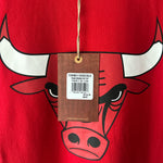 Load image into Gallery viewer, Chicago Bulls Mitchell &amp; Ness T - Shirt - Medium
