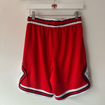 Ladda upp bild till gallerivisning, Chicago Bulls Nike shorts - Medium

