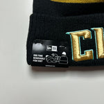 Load image into Gallery viewer, Charlotte Hornets New Era beanie
