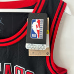 Charger l'image dans la galerie, Chicago Bulls Demar Derozan Jordan jersey - Small
