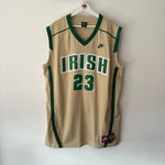 Load image into Gallery viewer, St Vincent - St Mary’s high school Lebron James Nike jersey - XL
