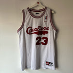 Load image into Gallery viewer, Cleveland Cavaliers Lebron James  Nike Rewind jersey - XL
