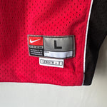 Afbeelding in Gallery-weergave laden, Toronto Raptors Vince Carter Nike jersey - Youth Large
