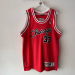 Lade das Bild in den Galerie-Viewer, Chicago Bulls Scottie Pippen Champion jersey - Large
