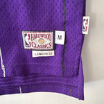 Indlæs billede til gallerivisning Toronto Raptors Tracy Mcgrady Adidas jersey - Medium (Fits Large)
