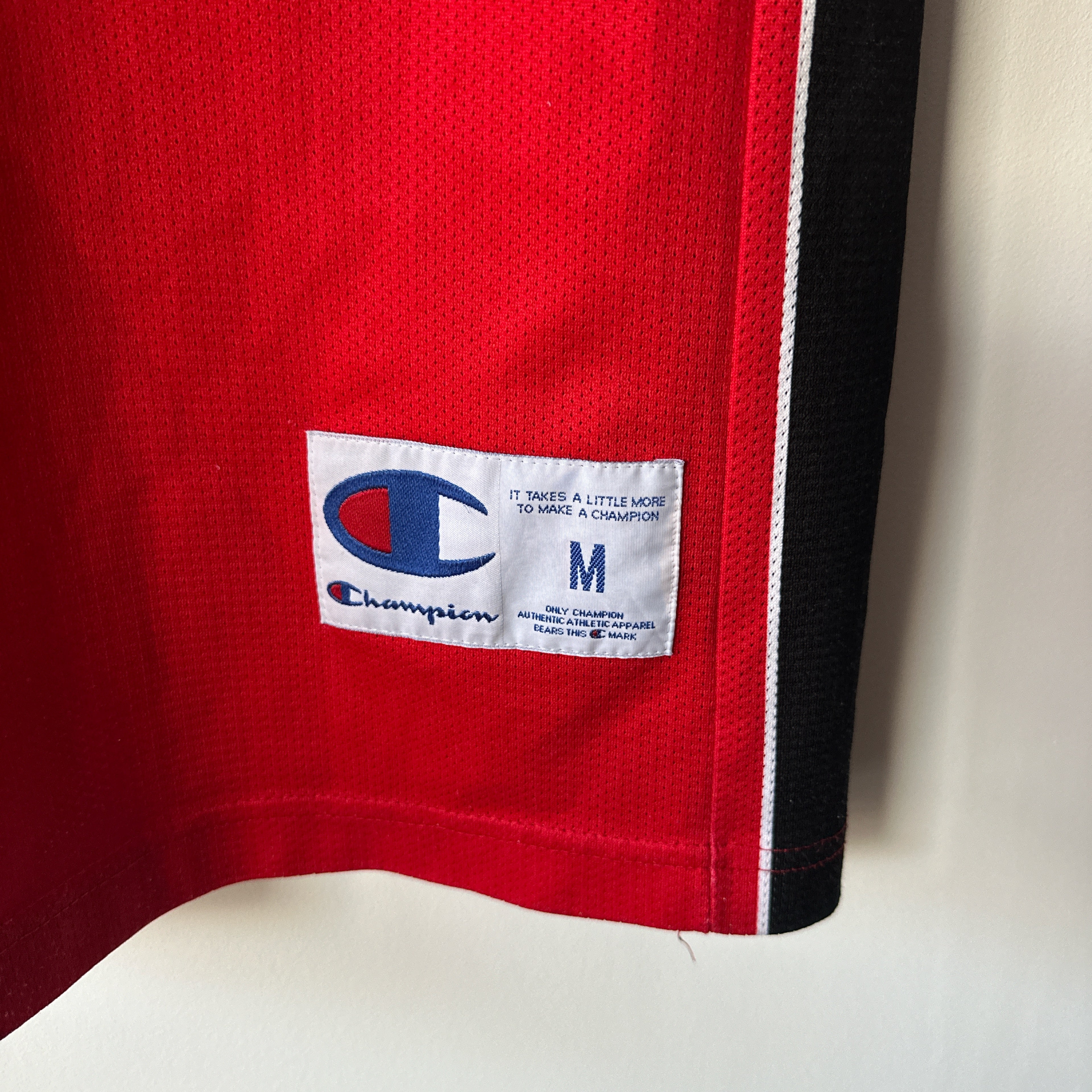 Toronto Raptors Andrea Bargnani Champion jersey - Medium