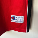 Ladda upp bild till gallerivisning, Toronto Raptors Andrea Bargnani Champion jersey - Medium
