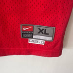 Load image into Gallery viewer, Chicago Bulls Tyson Chandler Nike jersey - XL (Fits XXL)
