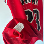Load image into Gallery viewer, Chicago Bulls Michael Jordan Champion jersey - Small
