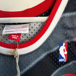 Carregar imagem no visualizador da galeria, New Jersey Nets Drazen Petrovic Mitchell &amp; Ness jersey - Large
