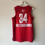 Afbeelding in Gallery-weergave laden, NBA All - Star Giannis Antetokounmpo Jordan jersey - Medium
