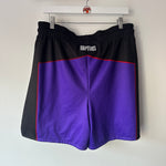 Load image into Gallery viewer, Toronto Raptors Champion shorts - Medium (Fit Large)
