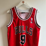 Carregar imagem no visualizador da galeria, Chicago Bulls Luol Deng Champion jersey - Medium
