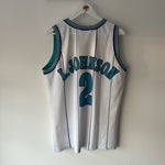 Load image into Gallery viewer, Charlotte Hornets Larry Johnson  Champion jersey - Large
