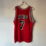 Load image into Gallery viewer, Chicago Bulls Toni Kukoc Champion jersey - Medium
