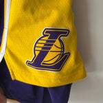 Load image into Gallery viewer, Los Angeles Lakers Nike shorts - Large
