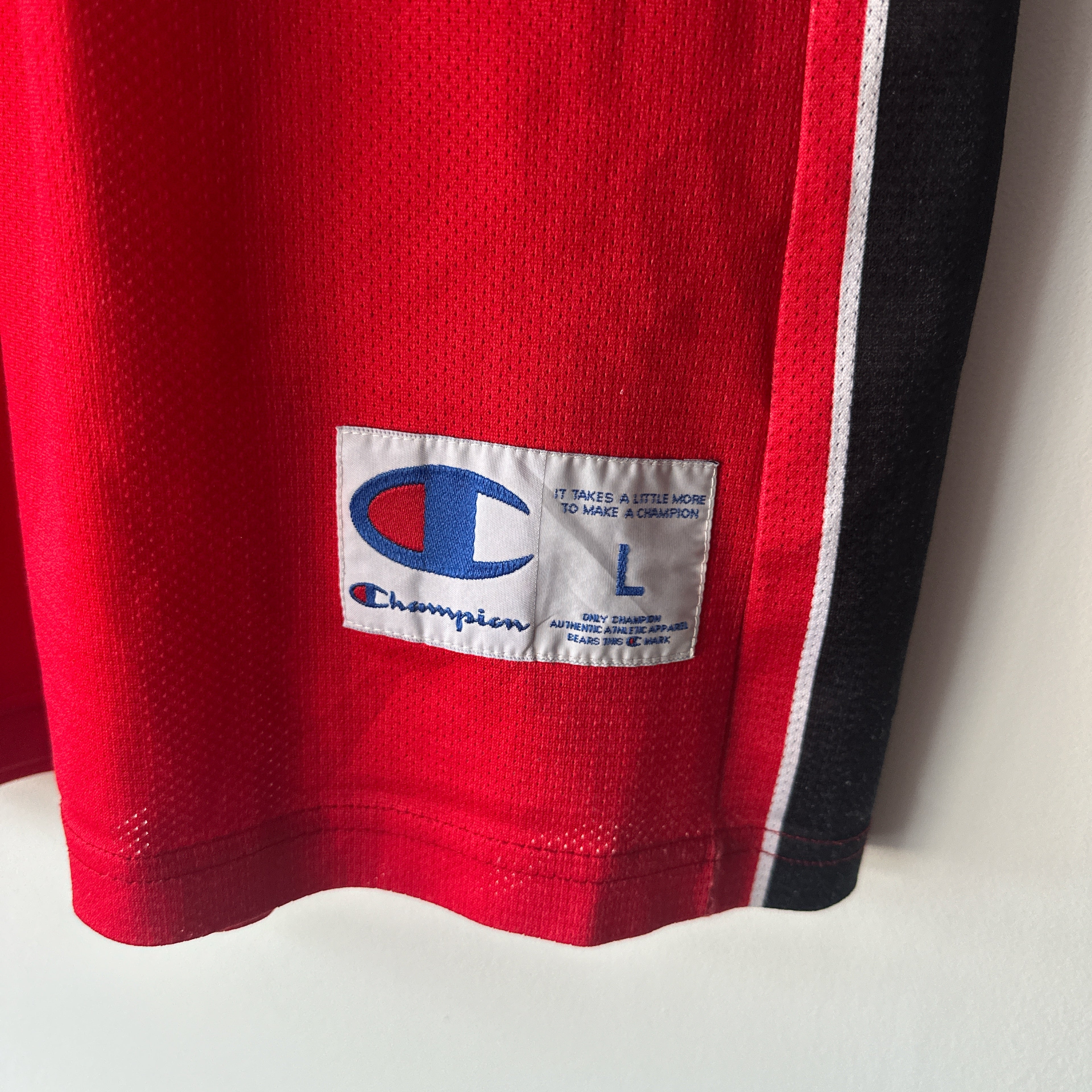 Toronto Raptors Andrea Bargnani Champion jersey - Large