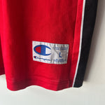 Load image into Gallery viewer, Toronto Raptors Andrea Bargnani Champion jersey - Large
