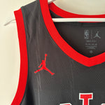 Load image into Gallery viewer, Toronto Raptors Scottie Barnes Jordan jersey - XL
