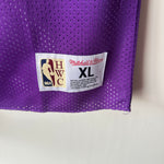 Indlæs billede til gallerivisning Toronto Raptors Vince Carter Mitchell &amp; Ness reversible jersey - XL
