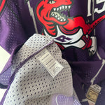 Load image into Gallery viewer, Toronto Raptors Vince Carter Mitchell &amp; Ness jersey - XL

