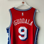 Cargar imagen en el visor de la galería, Philadelphia 76ers Andre Iguodala Jordan jersey - Large
