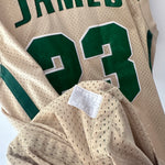 Load image into Gallery viewer, St Vincent - St Mary’s high school Lebron James Nike jersey - XL
