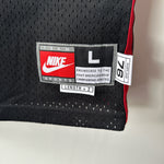 Charger l'image dans la galerie, Portland Trailblazers Rasheed Wallace  Nike Rewind jersey - Large (Fits XL)
