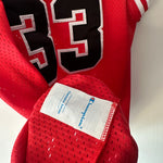 Lade das Bild in den Galerie-Viewer, Chicago Bulls Scottie Pippen Champion jersey - Large
