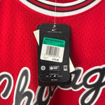 Load image into Gallery viewer, Chicago Bulls Tyson Chandler Nike jersey - XL (Fits XXL)
