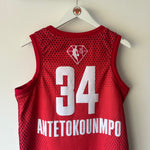 Afbeelding in Gallery-weergave laden, NBA All - Star Giannis Antetokounmpo Jordan jersey - Medium
