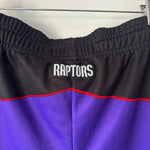 Load image into Gallery viewer, Toronto Raptors Champion shorts - Medium (Fit Large)
