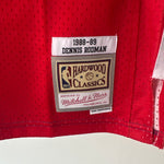Indlæs billede til gallerivisning Detroit Pistons Dennis Rodman Mitchell &amp; Ness jersey - XL
